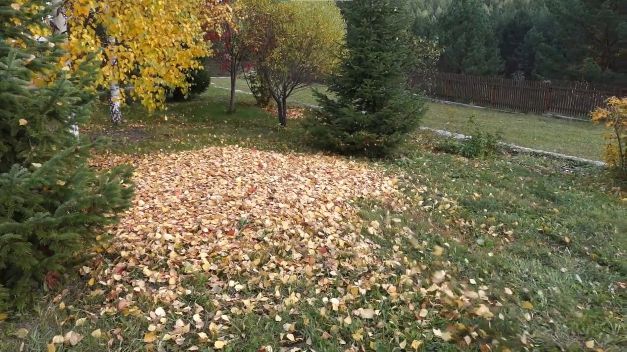 https://magnitogorsk.mslandshaft.ru/storage/app/uploads/public/642/ac5/f22/642ac5f2293e2935715739.jpg